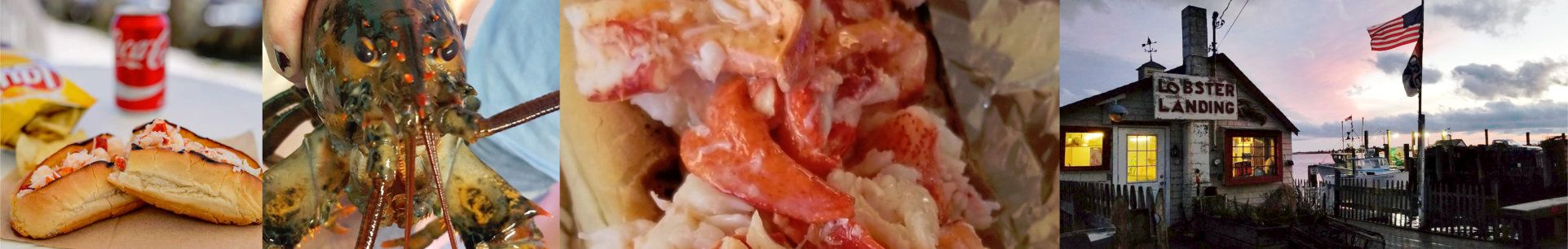 Lobster Landing